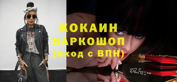гидра Коряжма
